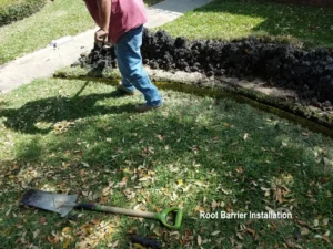 Root Barrier Instalation